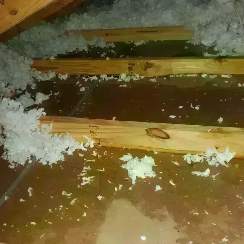 Attic Water Damage in Stanley, NC