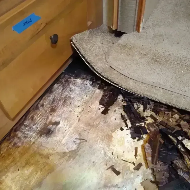 Wood Floor Water Damage in Stanley, NC